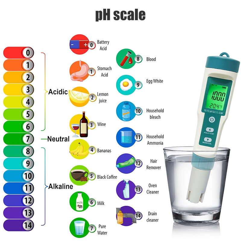 WESTTUNE デジタル PH メーター 7 In 1 P - Ph Meter Digital Water Tester のレビューと価格